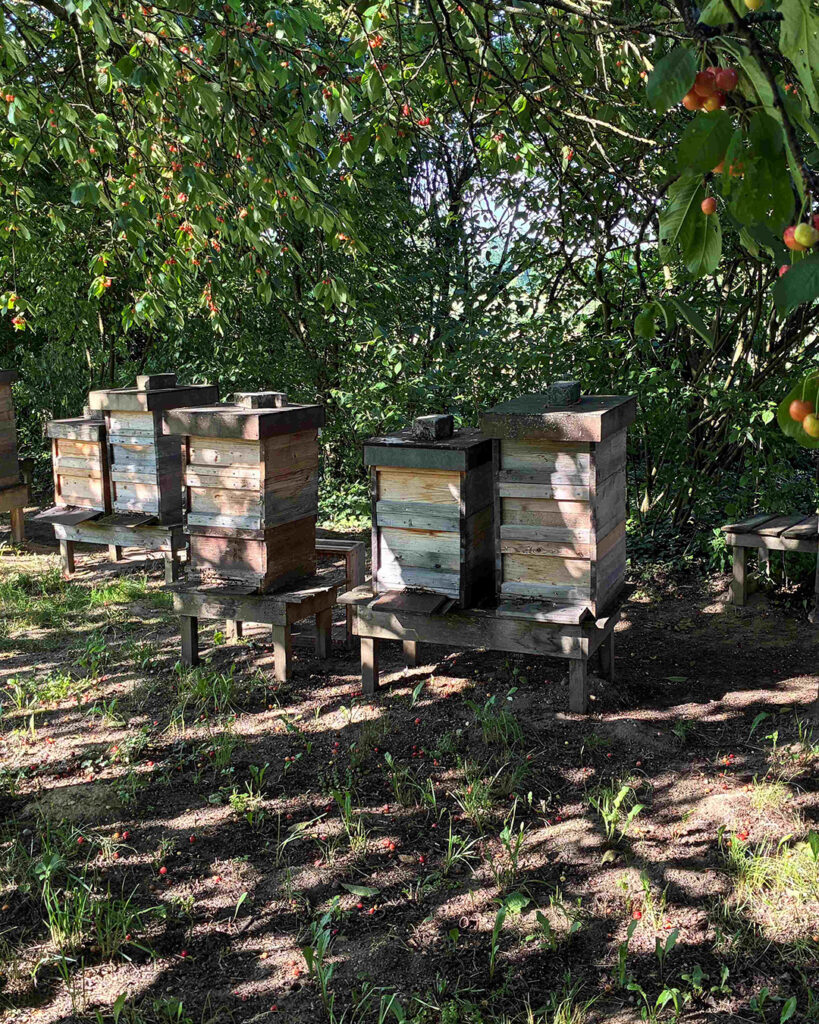 Bienenstände OGV Geisenfeld