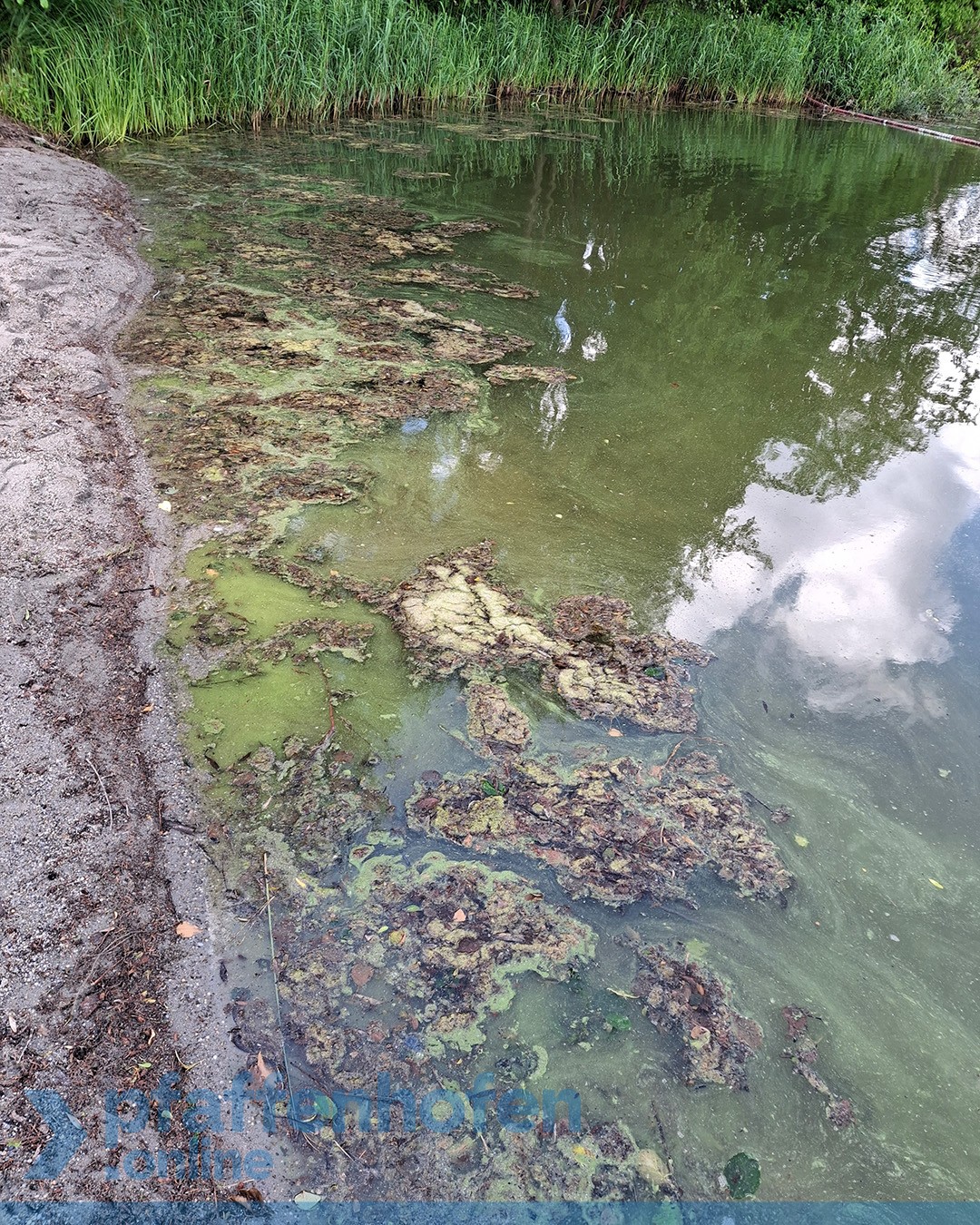 Ebenhausener Weiher Kinderbadebereich