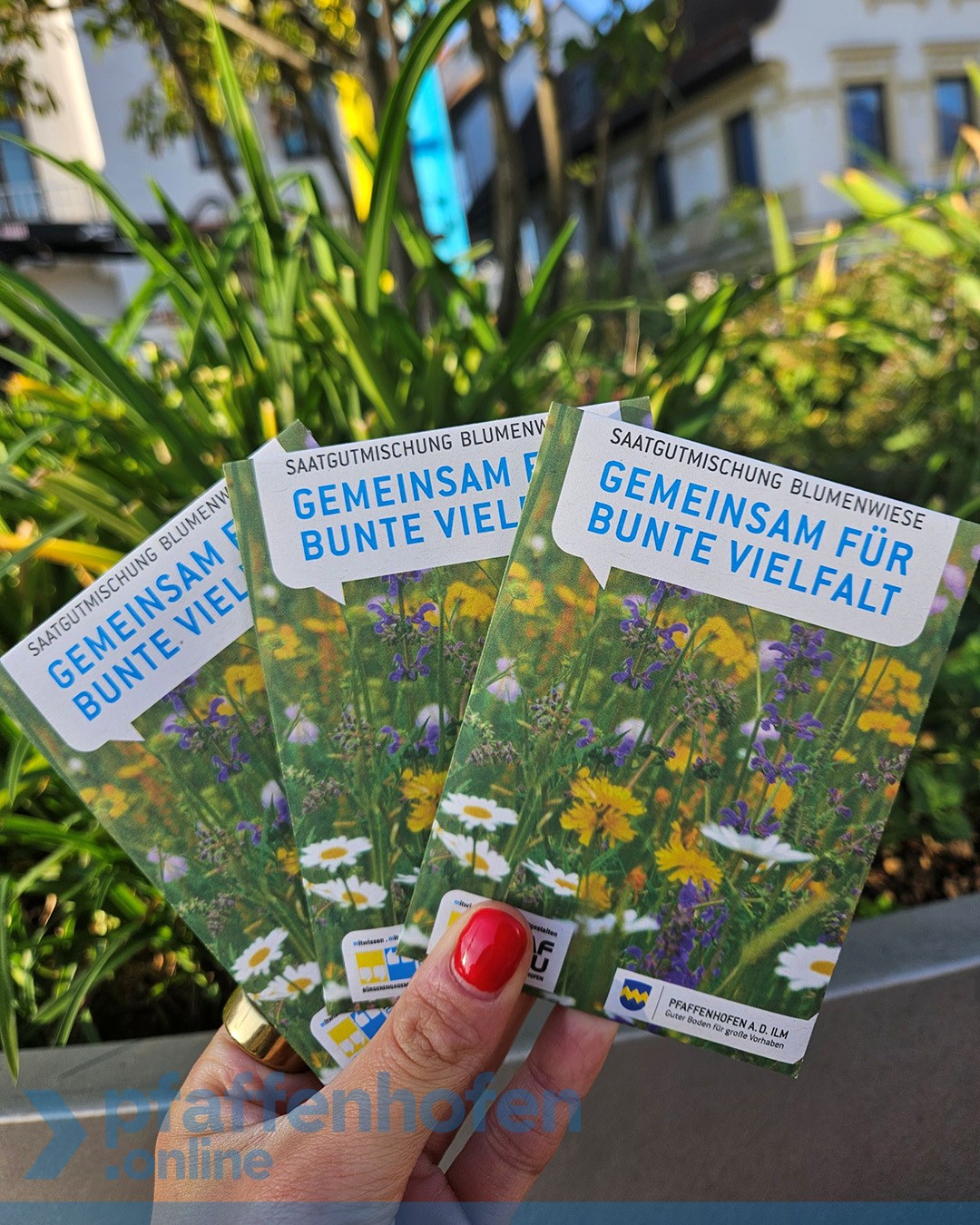 Saatgut Wildblumen